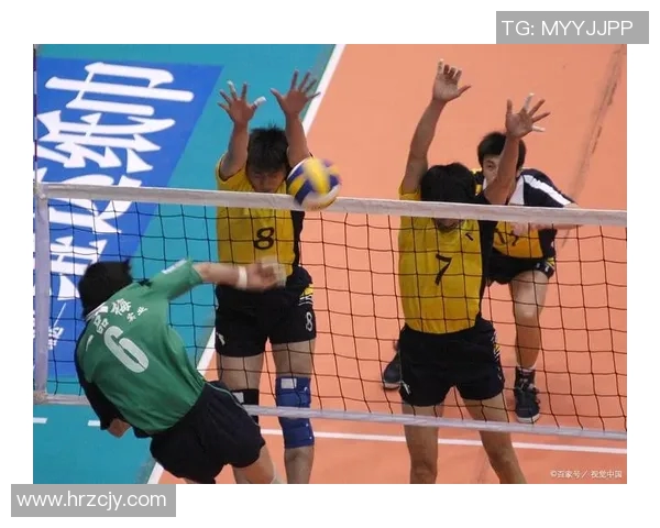 武汉排球队战术解析：聚焦排球技术与团队协作的完美结合