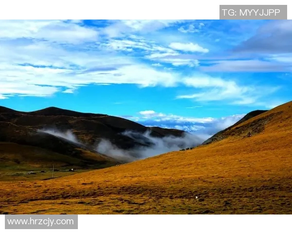 罗凯文的成长之路与人生哲学探索:从平凡到卓越的心灵旅程 罗凯文的成长之路与人生哲学探索:从平凡到卓越的心灵旅程